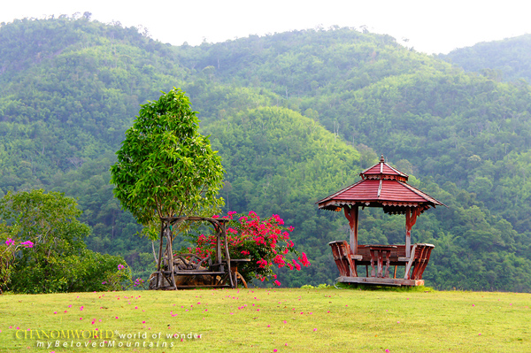 ท่องเที่ยวหน้าหนาว ท่องเที่ยวหน้าหนาว