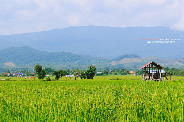 ท่องเที่ยวหน้าหนาว ท่องเที่ยวหน้าหนาว