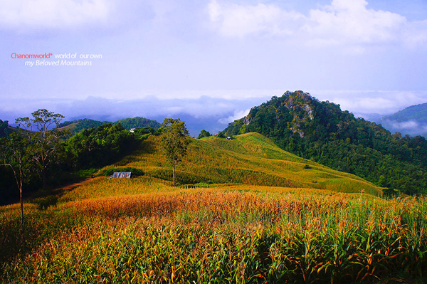 ท่องเที่ยวหน้าหนาว ท่องเที่ยวหน้าหนาว