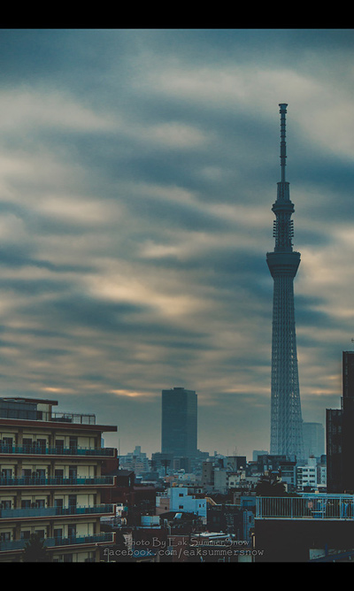 อาหารของหวานญี่ปุ่น อาหารของหวานญี่ปุ่น