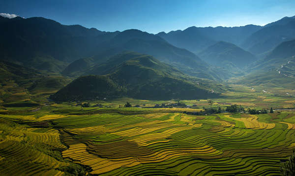 Rice terraces Vietnam Rice terraces Vietnam
