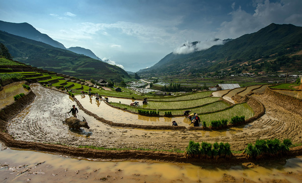 Rice terraces Vietnam Rice terraces Vietnam