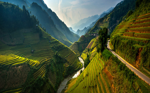 Rice terraces Vietnam Rice terraces Vietnam