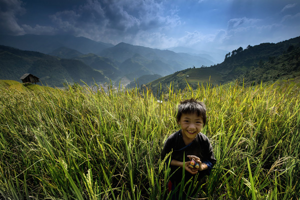 Rice terraces Vietnam Rice terraces Vietnam