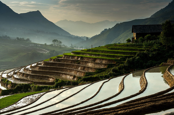 Rice terraces Vietnam Rice terraces Vietnam