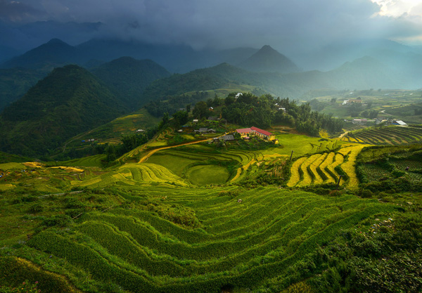 Rice terraces Vietnam Rice terraces Vietnam