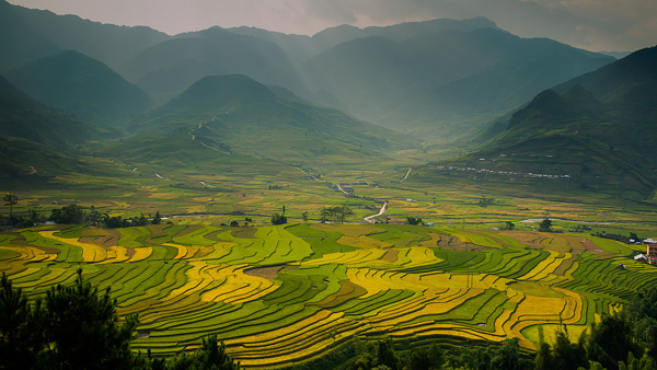 Rice terraces Vietnam Rice terraces Vietnam
