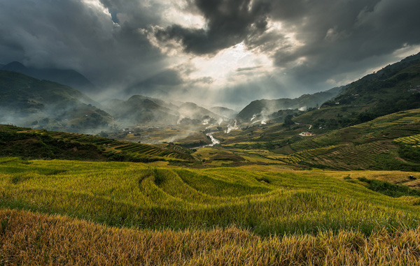 Rice terraces Vietnam Rice terraces Vietnam