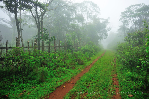 South Laos South Laos