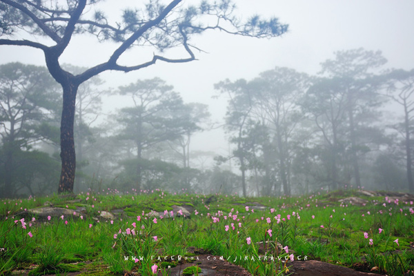 South Laos South Laos