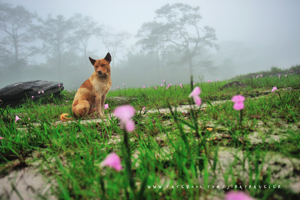 South Laos South Laos