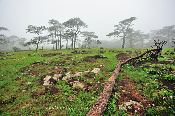 South Laos South Laos