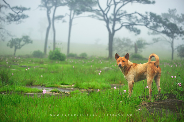 South Laos South Laos
