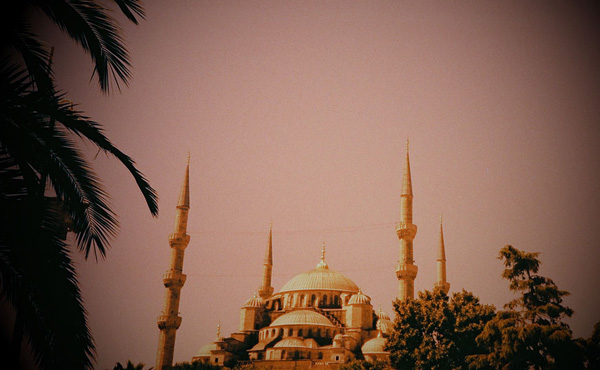 Turkey Turkey