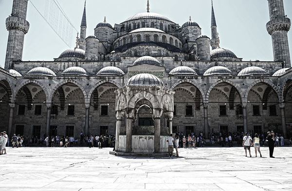 Turkey Turkey