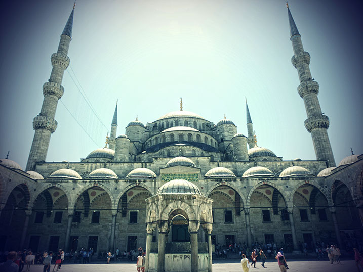 Turkey Turkey