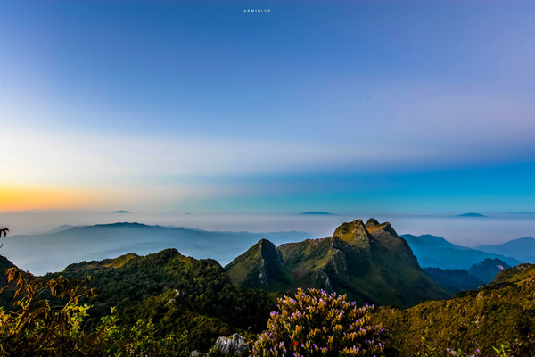 sea of mist sea of mist
