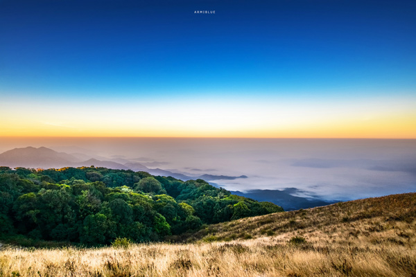 sea of mist sea of mist