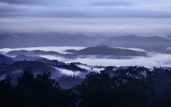 sea of mist sea of mist