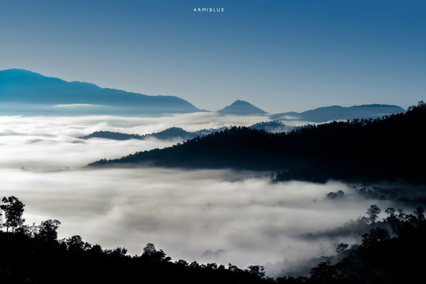 sea of mist sea of mist