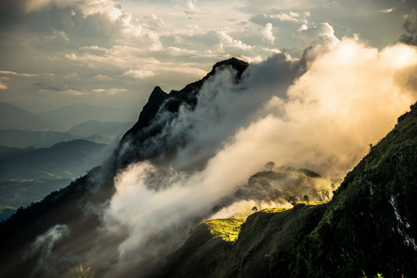 sea of mist sea of mist