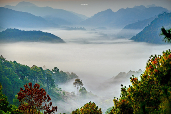 sea of mist sea of mist