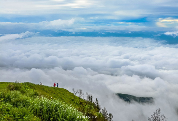 sea of mist sea of mist