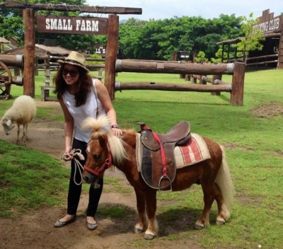 Small Farm Chiang Mai Small Farm Chiang Mai
