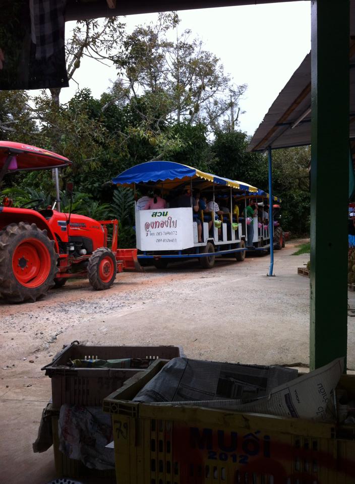 rayong fruit farm rayong fruit farm