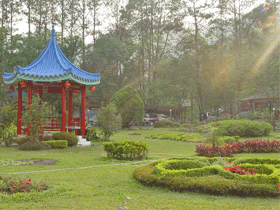 ที่พักดอยแม่สลอง ที่พักดอยแม่สลอง