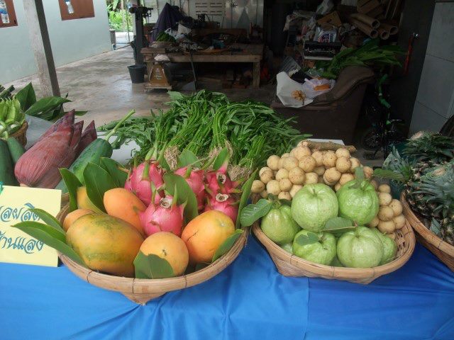 rayong fruit farm rayong fruit farm