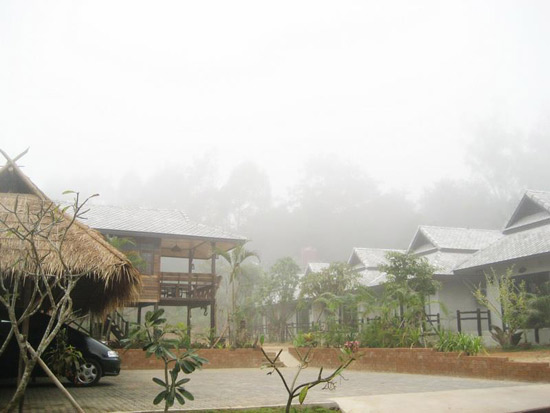 ที่พักดอยอ่างขาง ที่พักดอยอ่างขาง
