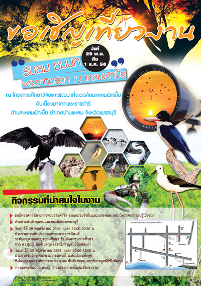 งาน รับลม ชมนก พระอาทิตย์ตก ณ แหลมผักเบี้ย งาน รับลม ชมนก พระอาทิตย์ตก ณ แหลมผักเบี้ย
