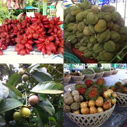 rayong fruit farm rayong fruit farm