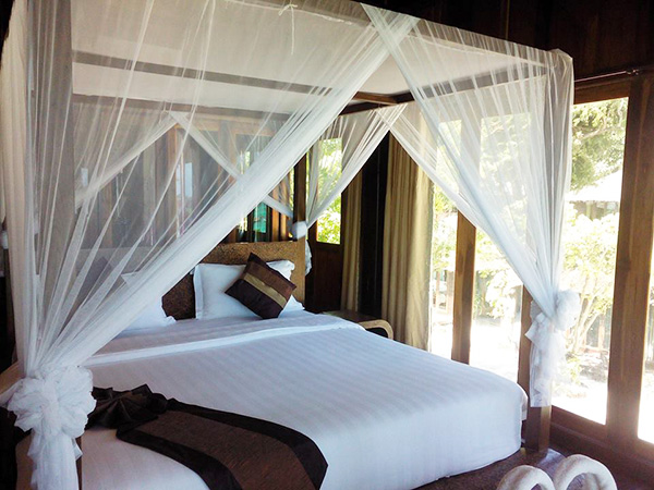 KohLipe KohLipe