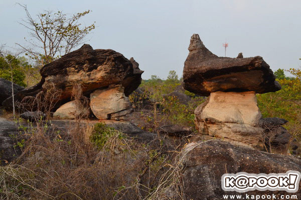 ภูผาเทิบ ภูผาเทิบ