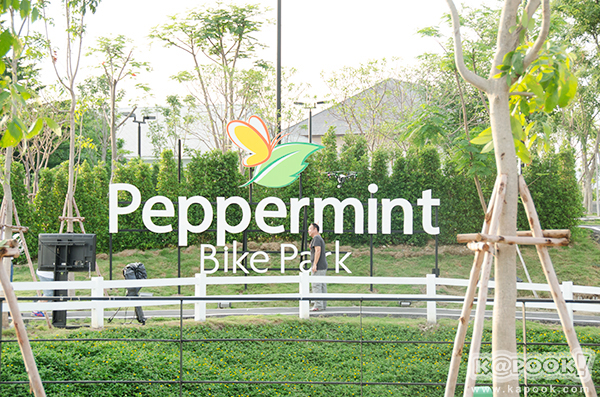 Peppermint Bike Park สนามจำลองจักรยานเสือภูเขา Peppermint Bike Park สนามจำลองจักรยานเสือภูเขา
