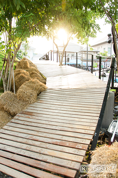 Peppermint Bike Park สนามจำลองจักรยานเสือภูเขา Peppermint Bike Park สนามจำลองจักรยานเสือภูเขา