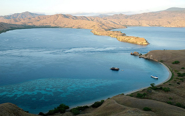 เกาะโคโมโด เกาะโคโมโด