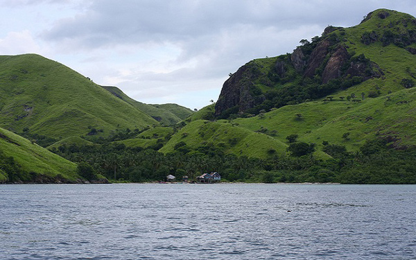 เกาะโคโมโด เกาะโคโมโด