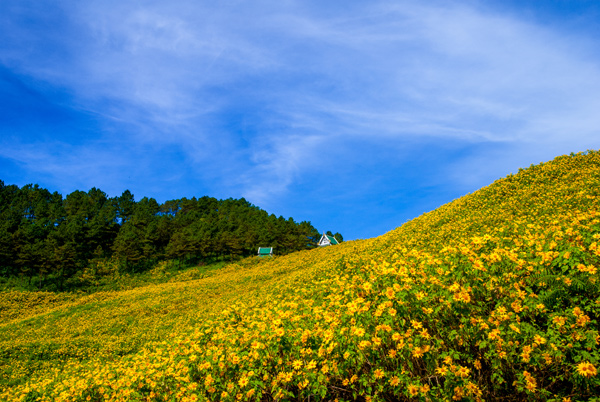 Dream Destinations 2 Dream Destinations 2