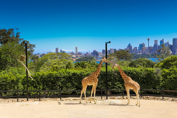 Sydney Australia Sydney Australia