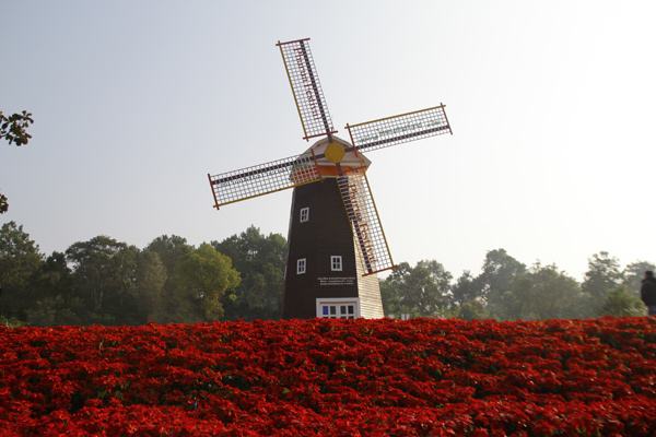 Dream Destinations 2 Dream Destinations 2