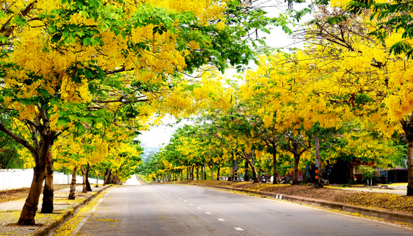 Dream Destinations 2 Dream Destinations 2