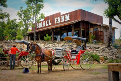 Small Farm Chiang Mai Small Farm Chiang Mai