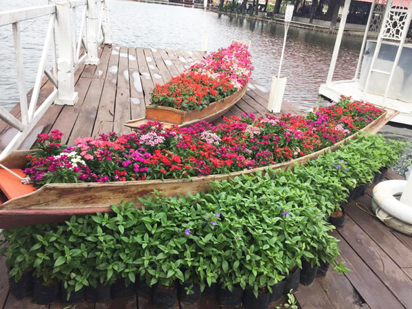 เทศกาลดอกไม้บาน ณ ตลาดน้ำหัวหินสามพันนาม เทศกาลดอกไม้บาน ณ ตลาดน้ำหัวหินสามพันนาม