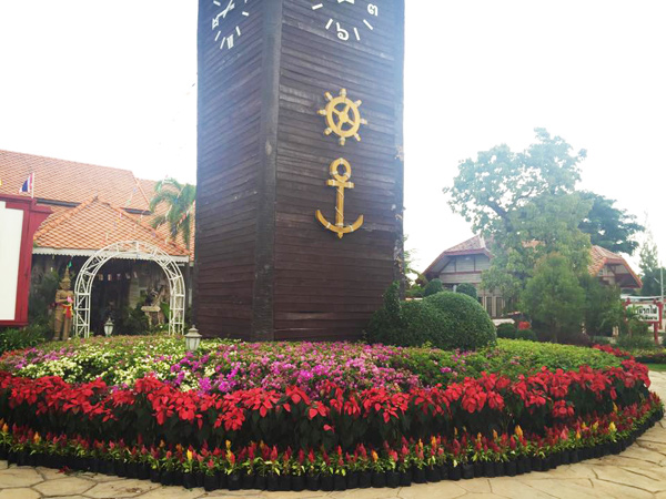 เทศกาลดอกไม้บาน ณ ตลาดน้ำหัวหินสามพันนาม เทศกาลดอกไม้บาน ณ ตลาดน้ำหัวหินสามพันนาม