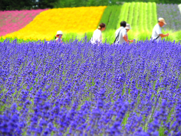 furano japan furano japan