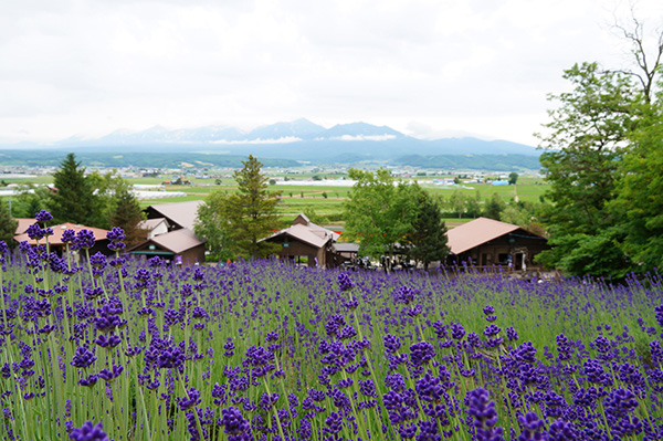 furano japan furano japan
