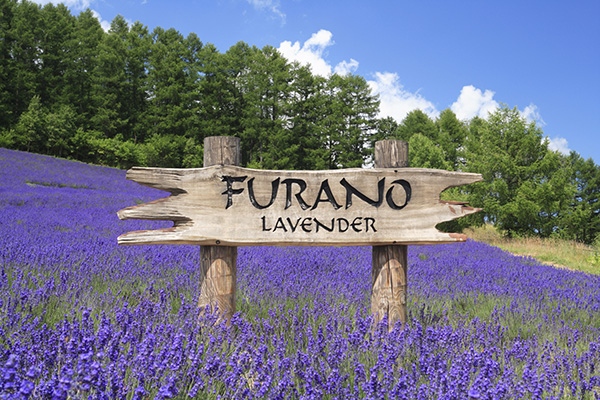furano japan furano japan